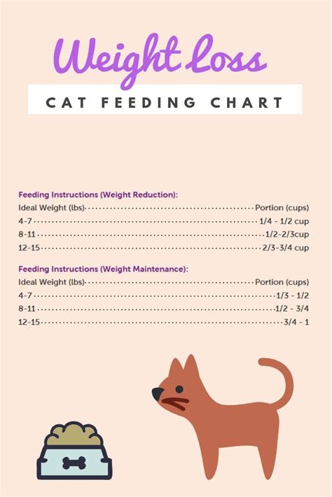 Does your cat need help losing weight? You can use this cat feeding chart to help, however we've ...