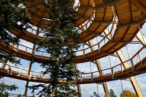 44 metre high tree top walkway in bavarian forest national park