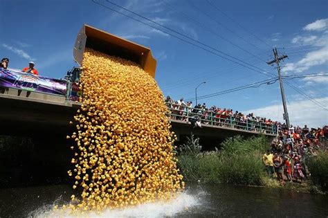 Rubber Duck Race Fundraiser | GAME Fundraising
