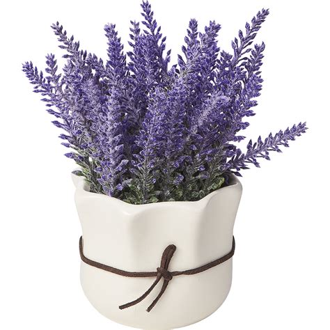 Lavender Arrangements and Bouquet Ideas