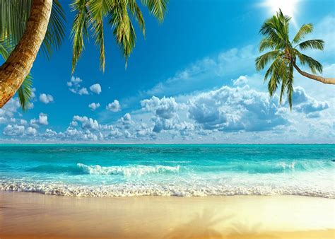 Summer Beach Scenery Wallpaper