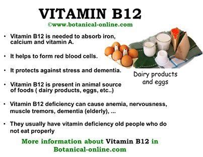 Vitamin B12 Rich Indian Vegetarian Foods - Andi Healthy