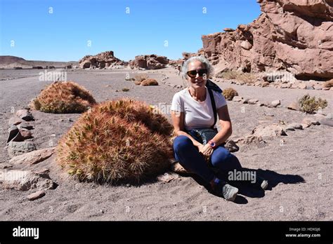 Geysers and mountains in Atacama desert Chile Stock Photo - Alamy