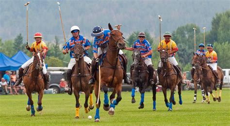 Pin on Horse photos and Okanagan Polo Club and horses