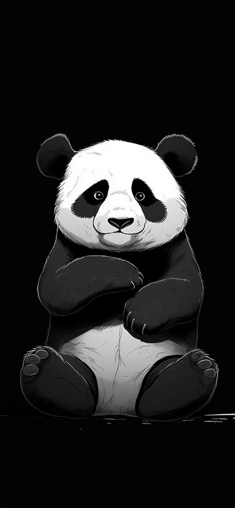 Giant Panda Black Wallpapers - Panda Wallpapers for iPhone 4k