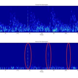The forward and reverse flow spectrograms of a 5 second signal segment ...