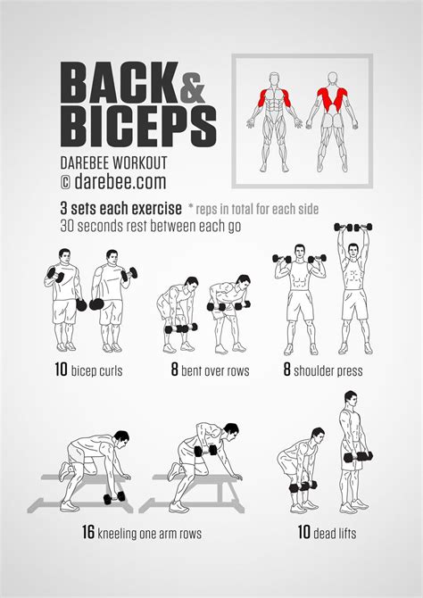 Back and Biceps Workout | Fitness Tips