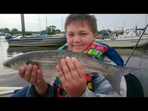 Mullet Fishing In Christchurch Harbour (May 2023)