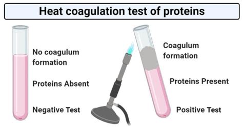 Heat coagulation test of proteins