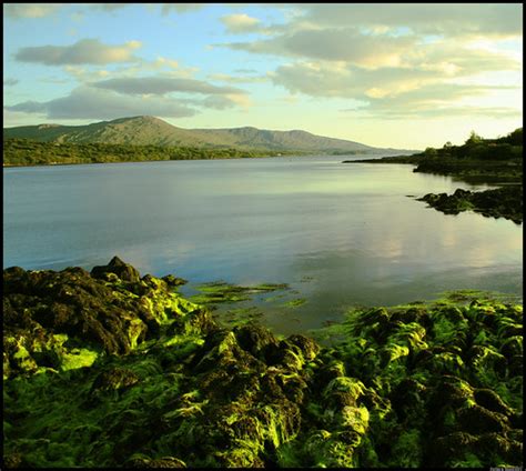 Kenmare Bay