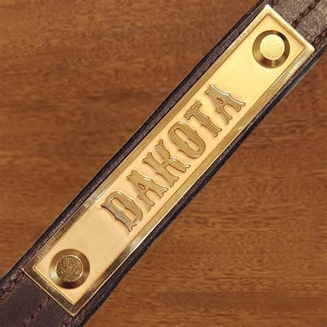 A relief-engraved brass nameplate on a leather horse halter. Horse ...