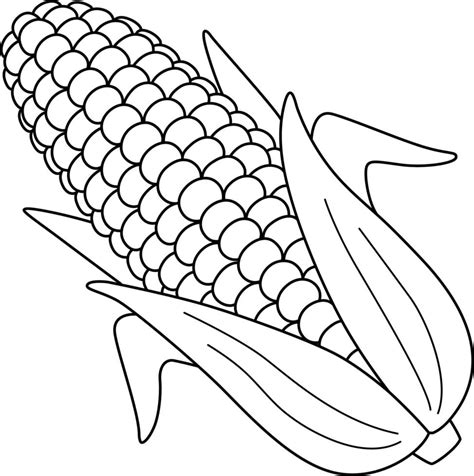 Corn Ear Clipart Kids