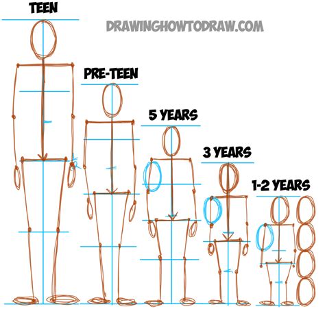 Learn How to Draw Human Figures in Correct Proportions by Memorizing ...