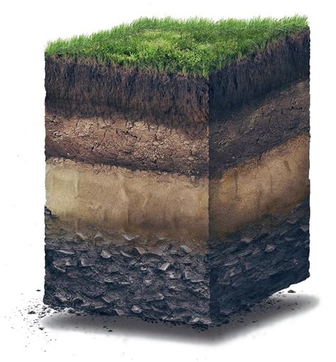 Soil Horizons | SoilSensor.com