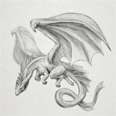 A Flying Dragon | Pencil drawings of animals, Dragon sketch, Drawing ...