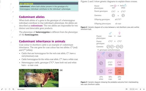 Patterns of inheritance (Codominance) Diagram | Quizlet