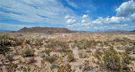 Chihuahuan Desert - DesertUSA