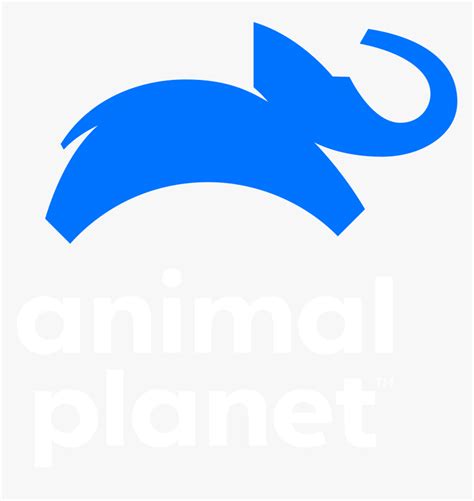 Bindi & The Otters - New Animal Planet Logo, HD Png Download - kindpng