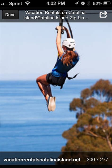 Catalina Island zipline | Catalina, Ziplining, Catalina island