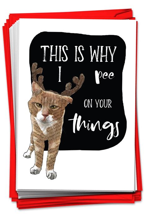 12 Hilarious Cat Christmas Cards Bulk - Funny Pet Cat & Reindeer Ears ...