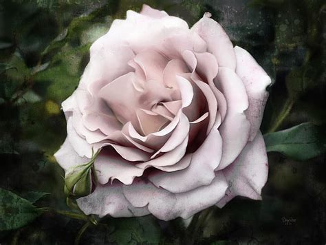 Old Rose Painting by DonaRose - Fine Art America