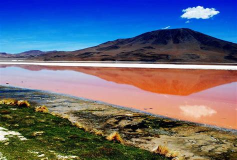 Laguna Colorada - Bolívia | Lugares Fantásticos