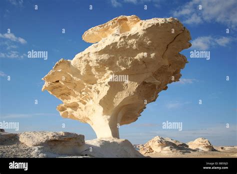 Chalk Formation, Mushroom Valley, White Desert, Western Desert, Egypt ...