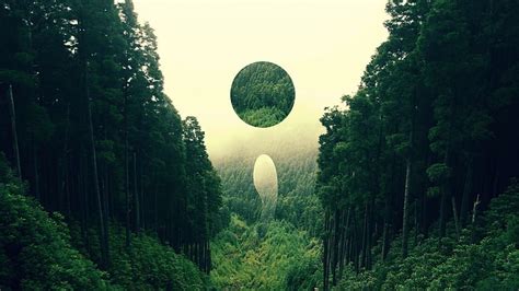 HD wallpaper: forest, landscape, nature, abstract, digital art, circle | Wallpaper Flare