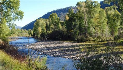 DIY Guide to Fly Fishing the Dolores River in Colorado | DIY Fly Fishing