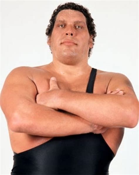 May 19, 1946 - andré the giant a french professional wrestler is born ...