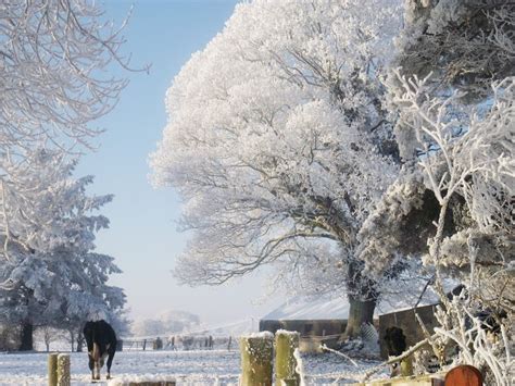 88 best Winter in Ireland images on Pinterest | Merry christmas love, Xmas and Celtic christmas