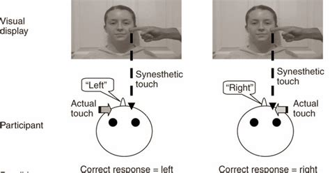 NAFA Creative Thinking: Mirror Touch Synesthesia