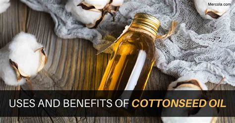 Cottonseed Oil Benefits and Uses