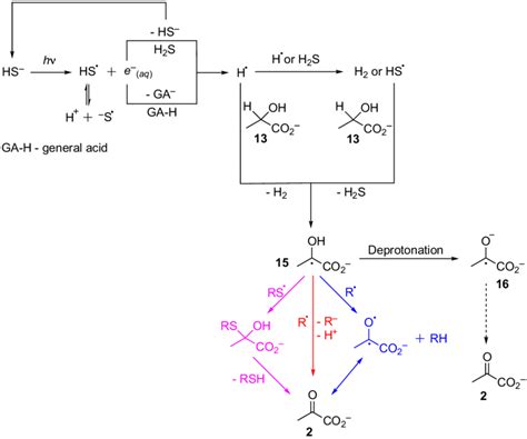 Possible mechanisms for oxidation of lactate 13 (and other -hydroxy... | Download Scientific Diagram