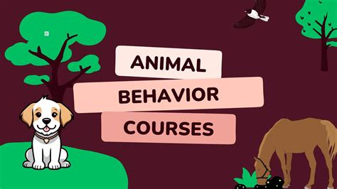 5 Best Animal Behaviour (Ethology) Courses For Beginners in 2025