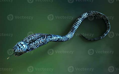 3d Illustration Blue color of King Cobra The World's Longest Venomous Snake Isolated on Green ...