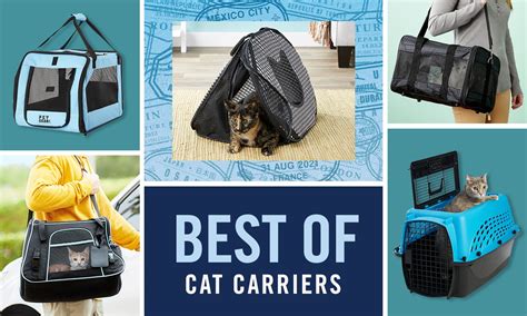 The Best Cat Carriers, According to Cat Parents | BeChewy