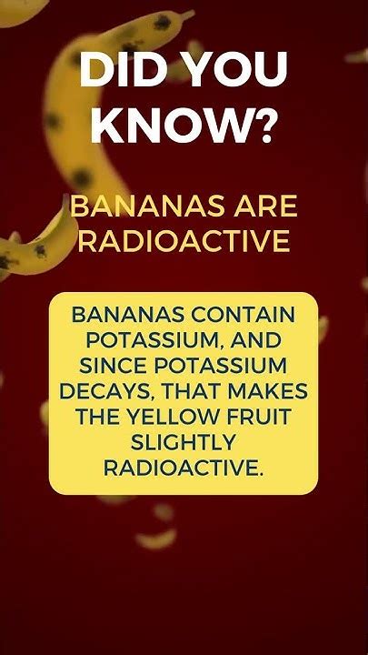 #banana #radioactive #didyouknow #didyouknowfacts #facts #information #knowledge - YouTube