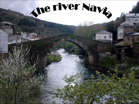 The River Navia