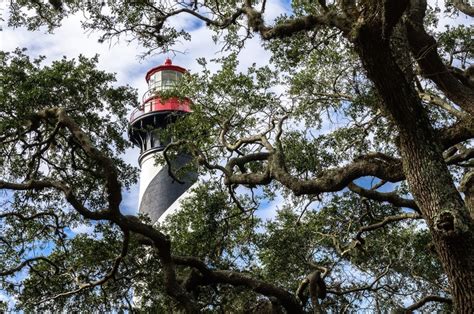 Lighthouse on Anastasia Island | Anastasia island, Lighthouse, Island