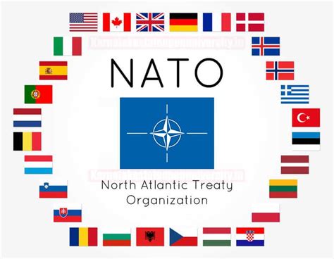 Nato Countries List 2024, What countries are in Nato? Check Full List ...