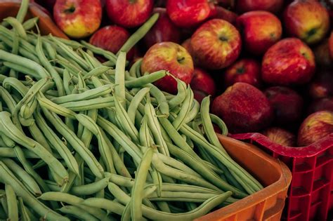 How to freeze runner beans to store for when needed - Garden and ...