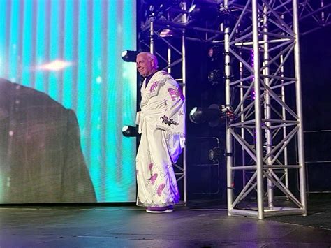 CrazyTights | Ric Flair (robes) - White w/ Purple v3