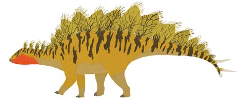 Stegosaurus stenops by sphenaphinae | Prehistoric animals, Stegosaurus, Prehistoric