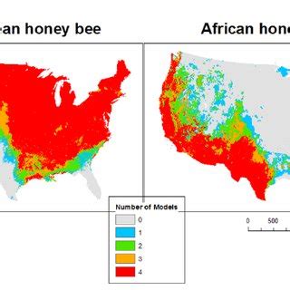 Maxent model results for A1 and A26 mitotypes of the Africanized honey ...