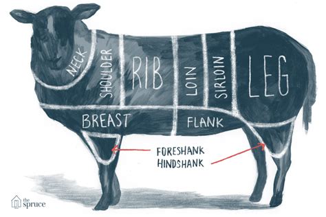 Major Cuts of Lamb From Leg to Loin