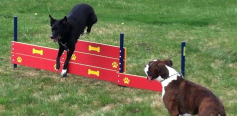 Dog Park Equipment - General Recreation Inc