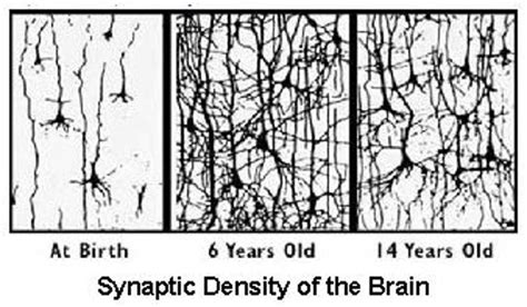 Brain Development – Kids Discover Music