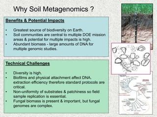 Soil Metagenomics/Community Metagenomics.ppt