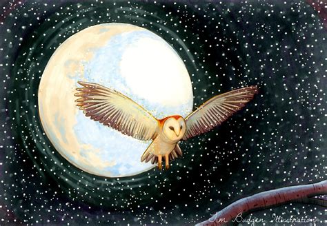 'Moon Owl' by Tim Budgen | Owl illustration, Watercolor paintings of animals, Storybook art